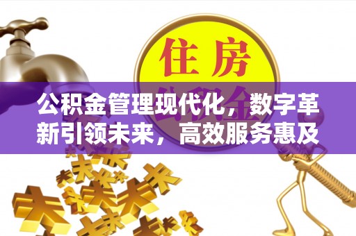 滦县公积金管理现代化，数字革新引领未来，高效服务惠及民生