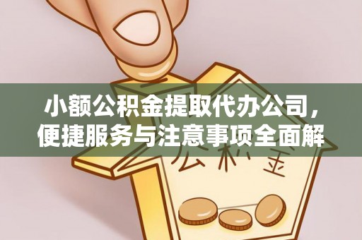 滦县小额公积金提取代办公司，便捷服务与注意事项全面解析