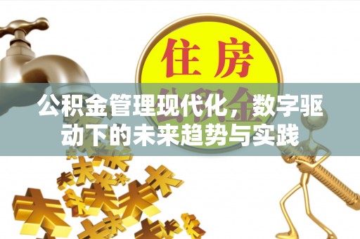 滦县公积金管理现代化，数字驱动下的未来趋势与实践