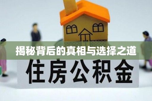 滦县揭秘背后的真相与选择之道