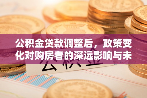 滦县公积金贷款调整后，政策变化对购房者的深远影响与未来趋势分析