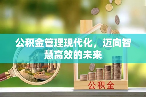 滦县公积金管理现代化，迈向智慧高效的未来