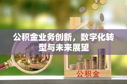 滦县公积金业务创新，数字化转型与未来展望