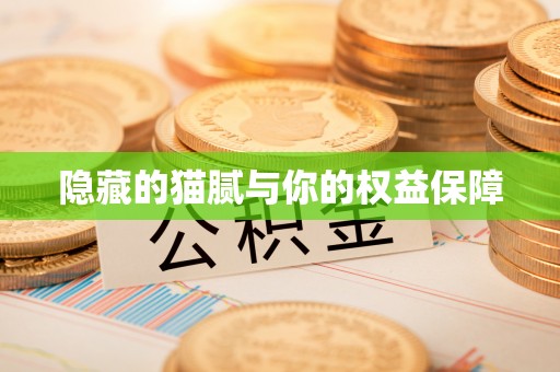 滦县隐藏的猫腻与你的权益保障
