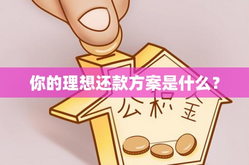 滦县你的理想还款方案是什么？