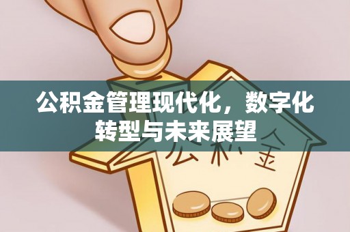 滦县公积金管理现代化，数字化转型与未来展望