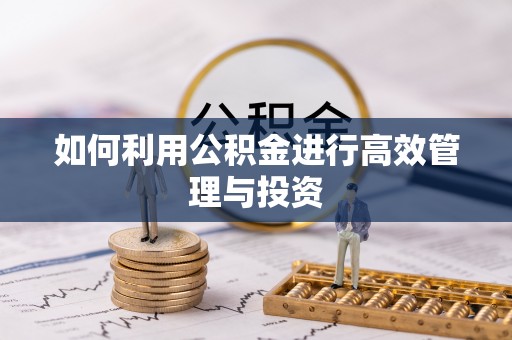 滦县如何利用公积金进行高效管理与投资