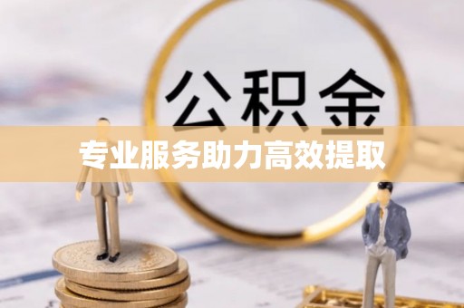 滦县专业服务助力高效提取