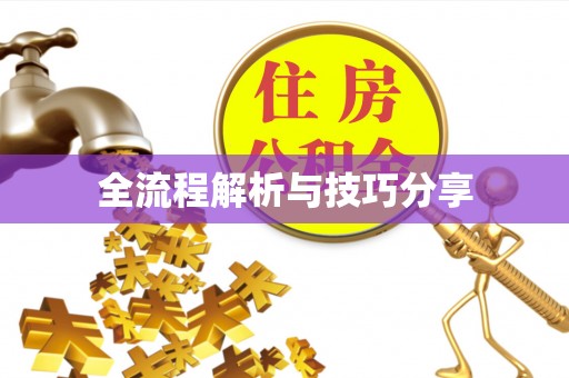滦县全流程解析与技巧分享